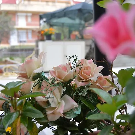 Il Girasole Formia