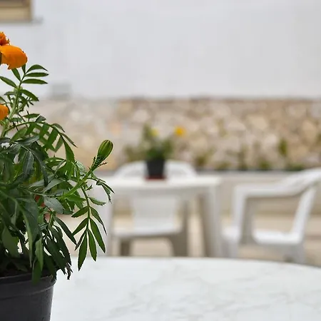 Il Girasole 3*