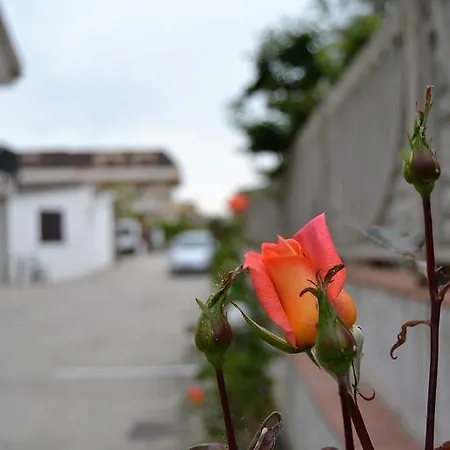 Il Girasole Affittacamere 3*